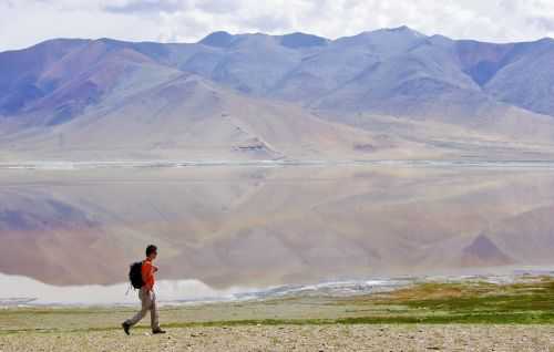 TREKKING IN LADAKH | CHANGTANG 2017